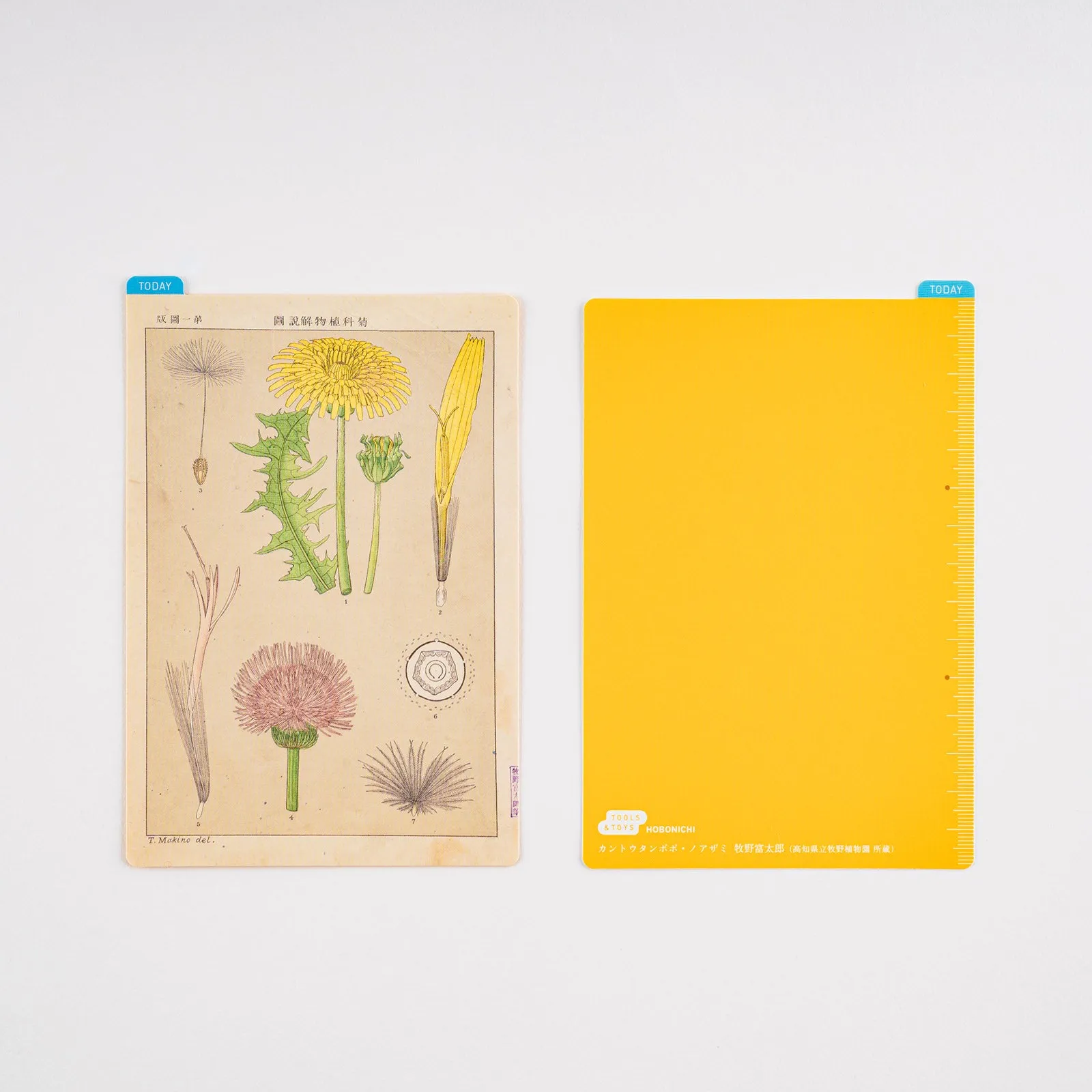 Hobonichi Pencil Board - Original A6 - Tomitaro Makino