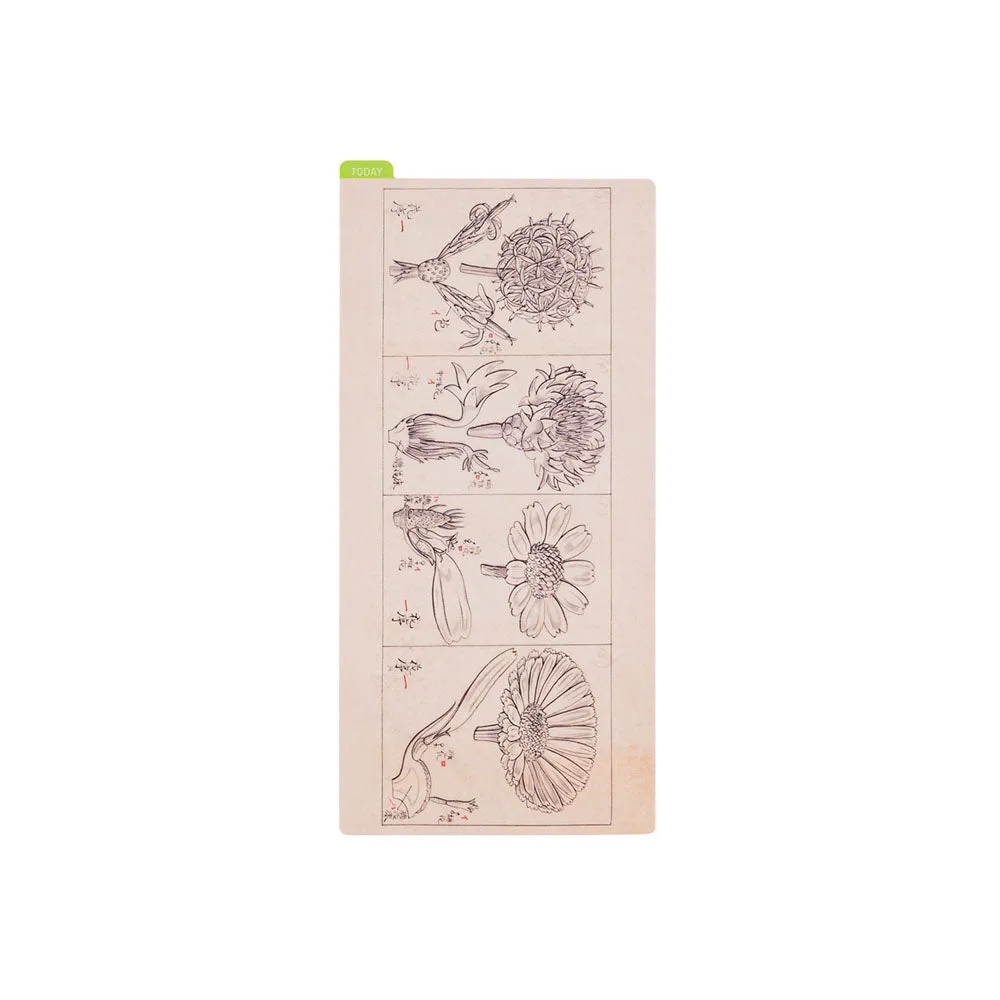 Hobonichi Pencil Board - Weeks - Tomitaro Makino