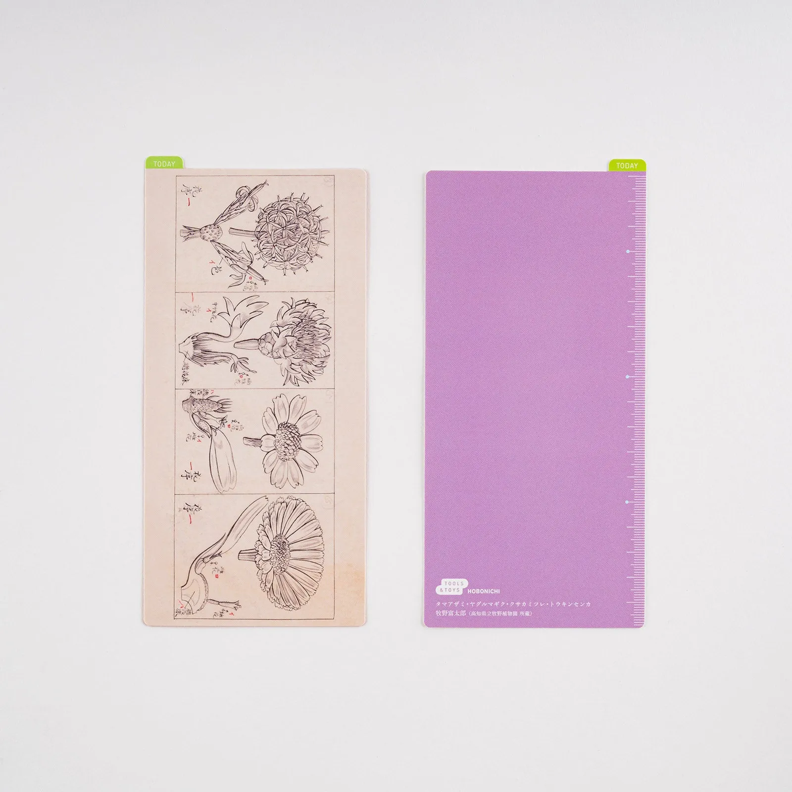 Hobonichi Pencil Board - Weeks - Tomitaro Makino