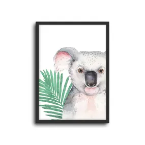 Safari - Koala