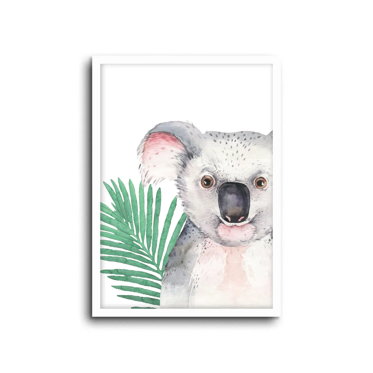 Safari - Koala